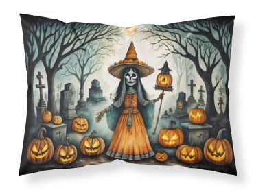 La Llorona Skeleton Spooky Halloween Standard Pillowcase Lightweight Super Soft Easy Care Decorative Artwork Pillowcase, Standard (Default: Default)